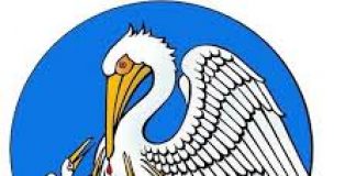 Seminário sobre Anencefalia e Eutanásia