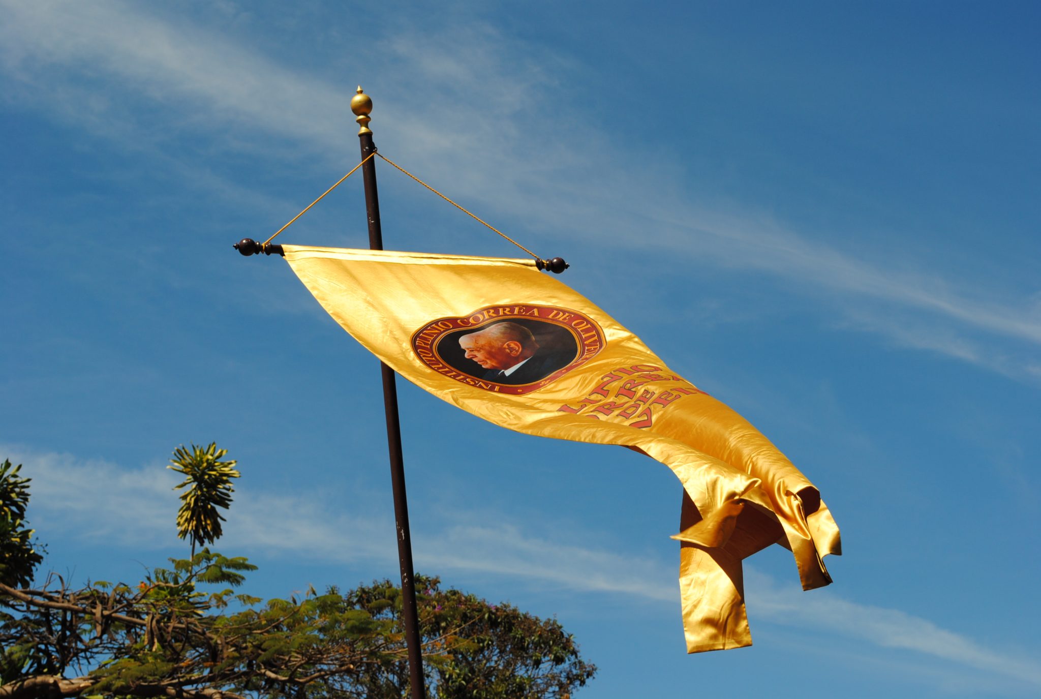 Cumprirá o Brasil sua vocação? Ou será engolido pela crise? Estandarte do IPCO