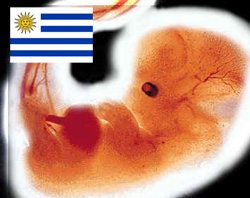 Não estamos sozinhos