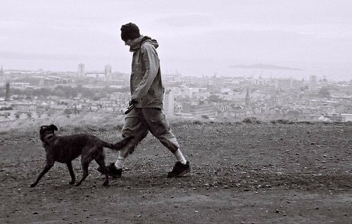 Boemia: troque um filho por um cachorro!
