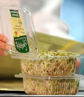 “Pepinos assassinos”: quando o “ecologicamente correto” toca na realidade