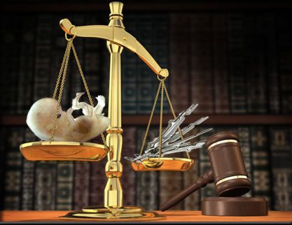 Novo Código Penal ameaça favorecer a causa abortista