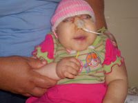 Absurdo: contrariando desejo da maioria dos brasileiros e sobretudo a Lei de Deus, ministros do STF legalizam aborto para bebês anencéfalos