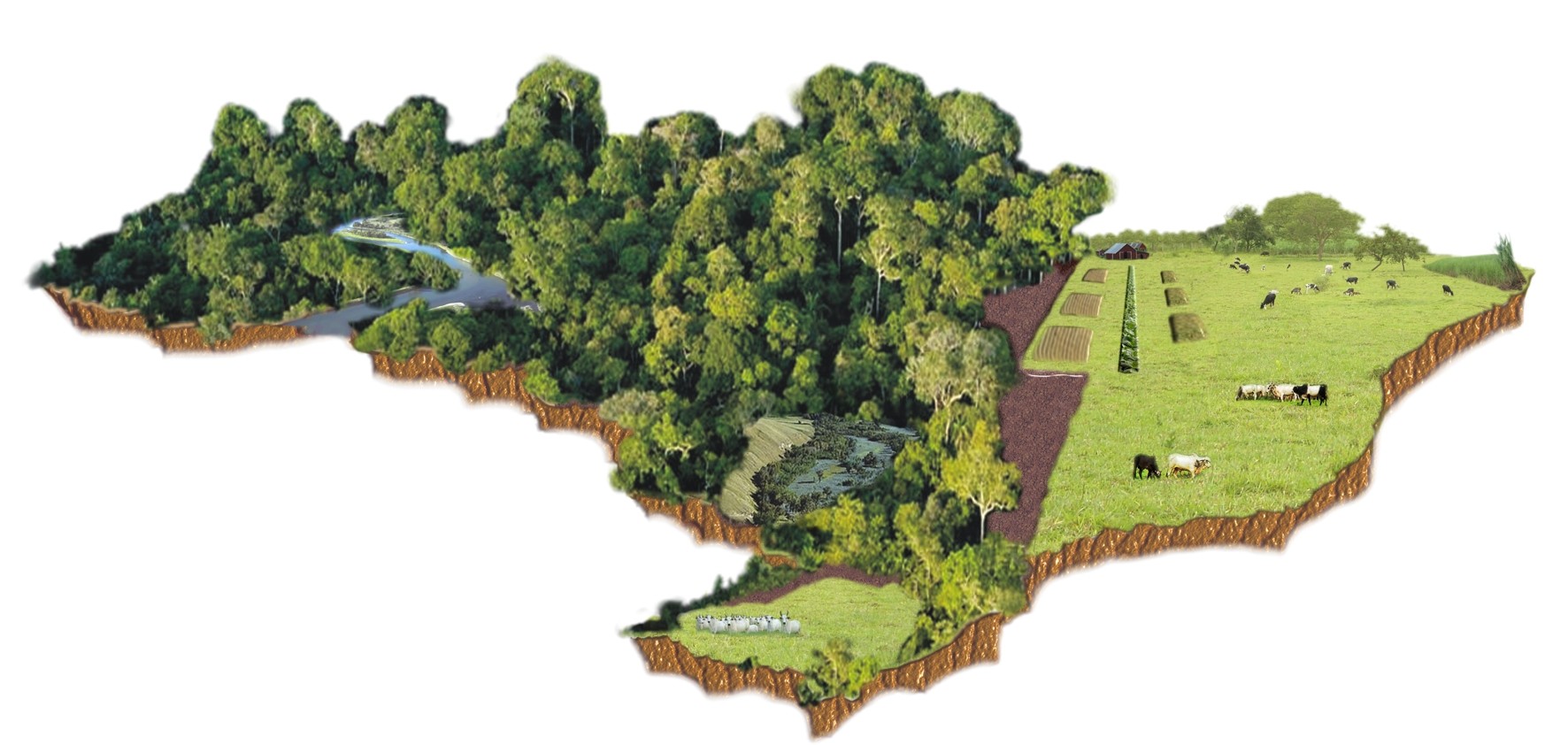 Ambientalismo: Preservação da Natureza ou Cavalo de Troia? – Considerações sobre o Código Florestal