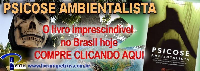 Cineasta recusa oferta de Al Gore por temor de fraude mal-intencionada