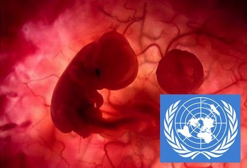 ONU reconhece que o aborto não é direito humano