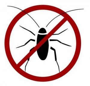 Ricardinho corre risco, dizem médicos… e a mídia