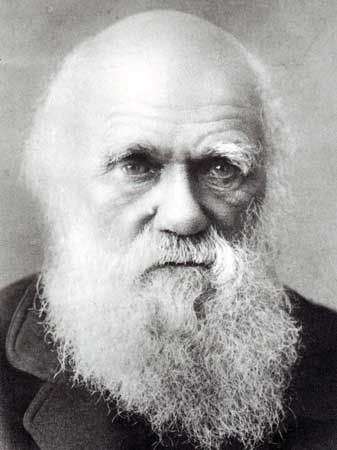 Evolucionismo: o acaso sobre todas as coisas Charles Darwin