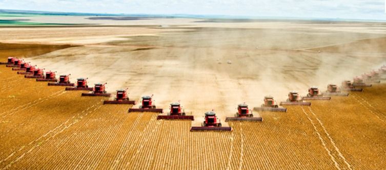 Produção agrícola em aumento, apesar de tudo