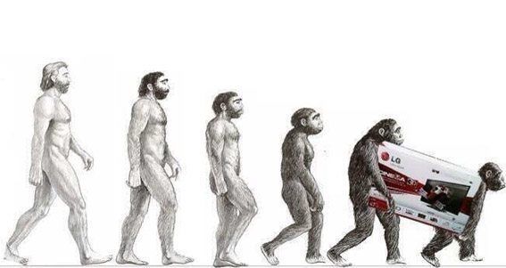 Inteligência humana: quem usa, cuida