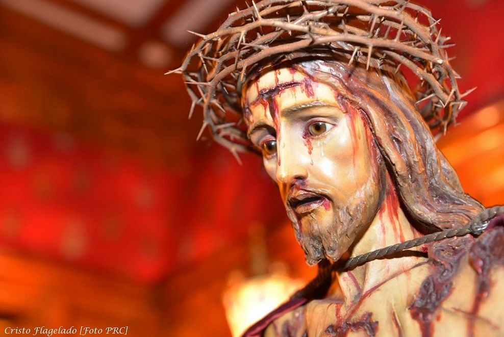 Tu que descanso buscas com cuidado