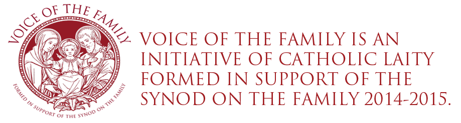 Declaração de Voice of the Family sobre a encíclica Laudato Si