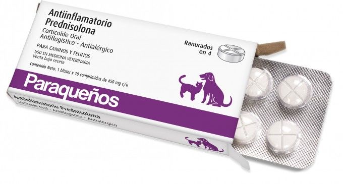 Venezuela: Rumo ao abismo… e à conversão Na Venezuela, pacientes recorrem a medicamentos veterinários