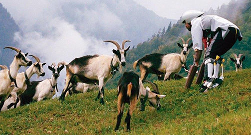 “Deus os entregou aos desejos dos seus corações”