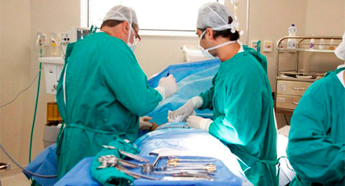 Falência múltipla dos órgãos