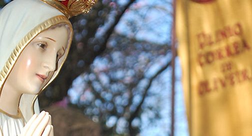 Onda de blasfêmias não poupa nem mesmo a Santíssima Virgem