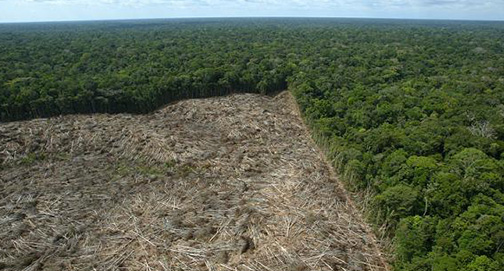 NASA: desmatamento contribui a esfriar o planeta