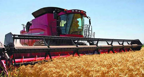 América do Sul pode derrotar a fome no mundo