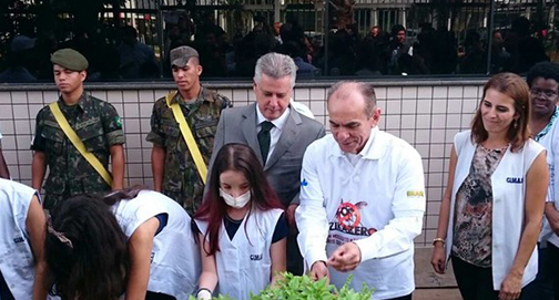 Zika Vírus, Microcefalia e a precipitação do governo