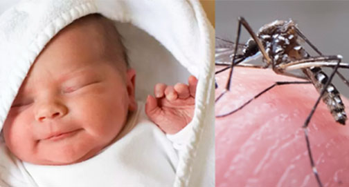 Devido ao zika vírus, a Igreja mudou sua posição quanto à pílula anticoncepcional?