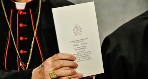 “Não vejo como se poderia interpretar o capítulo VIII da Exortação no sentido da doutrina tradicional”