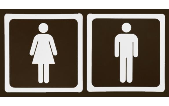 Ideologia de Gênero: Audiência Pública sobre o PEE na ALESP