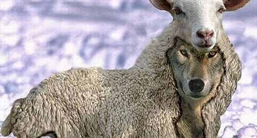 Vigiai! Tendes olhos e não vedes?