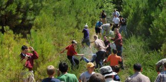 Aos “american boys”, um chamado à cavalaria!