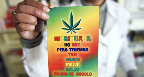 Farmácias vendedoras de maconha na mira dos narcotraficantes