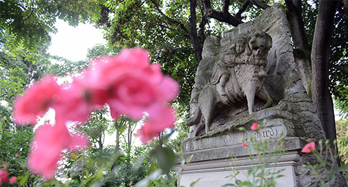 Cemitério para animais e humanos – e a ecologia