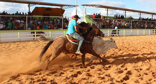 Vaquejadas e Rodeios