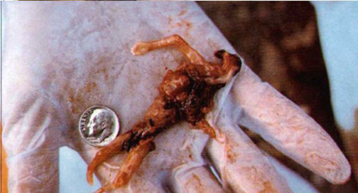 É questão de ideologia…