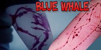 Baleia Azul: o jogo macabro da morte