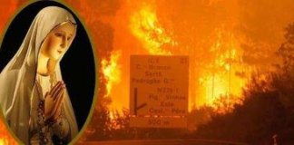 INCÊNDIOS EM PORTUGAL: quando uma Mãe é ofendida, como reagirá o Filho?