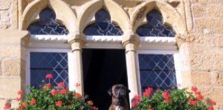 Educação e senhorio