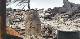 O furacão Harvey e uma série de tornados devastam o Texas, mas nada podem contra Nossa Senhora