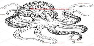 Pode o efeito ser maior do que a causa?