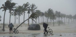 Que estado de espírito ter diante de catástrofes?