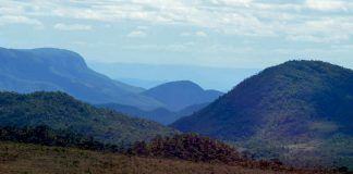Efeito ótico e fracasso da democracia