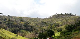 MST rejeita terra doada para fins de reforma agrária