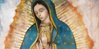 Nossa Senhora de Guadalupe: onde floresce a virtude, se desenvolve a nobreza de sentimentos e a cortesia