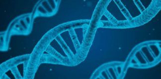 Cientistas desmascaram mais uma vez a Ideologia de Gênero