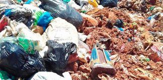 Nossa Senhora Aparecida sai indene da trituração: sinal do que está vindo?