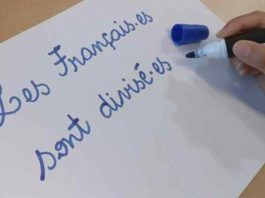 A gramática feminista ou “inclusiva” é “perigo mortal” para a cultura