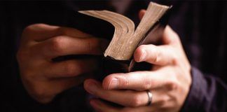 O tesouro das indulgências