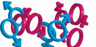 A ideologia de gênero e o princípio da não-contradição