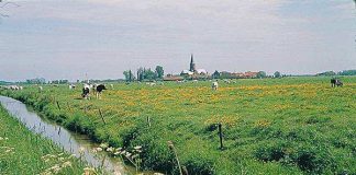 Castelos, abadias e aldeias medievais: melhor integrados na natureza que utopias “verdes”