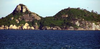 “Direitos” de rios e bichos (II)