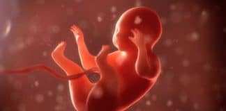 Congresso Mundial de Ginecologia e Obstetrícia ensina a prática do aborto a médicos brasileiros