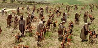 Edifiquemos nossa casa sobre a rocha firme